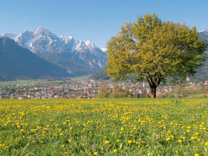 Blühende Wiese mit Löwenzahn, majestätischen Bergen und einem ruhigen Dorf im Hintergrund auf blauem Himmel.