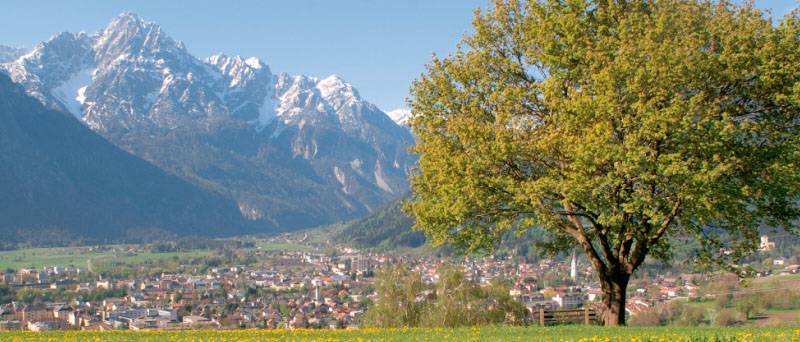 Bild von Lienz im Frühling