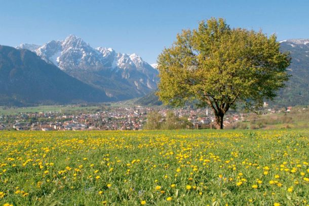 Blühende Wiese mit Löwenzahn, majestätischen Bergen und einem ruhigen Dorf im Hintergrund auf blauem Himmel.