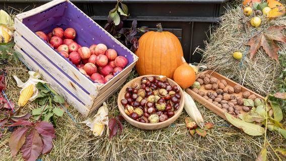 Ein herbstliches Arrangement mit Äpfeln, Kürbis, Nüssen und Früchten auf Heu dekoriert.