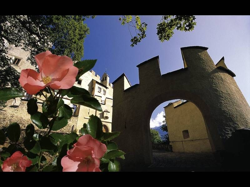 Eine rosa Blume vor einem Tor, das zu einem alten Gebäude unter blauem Himmel führt. Historisches Ambiente.